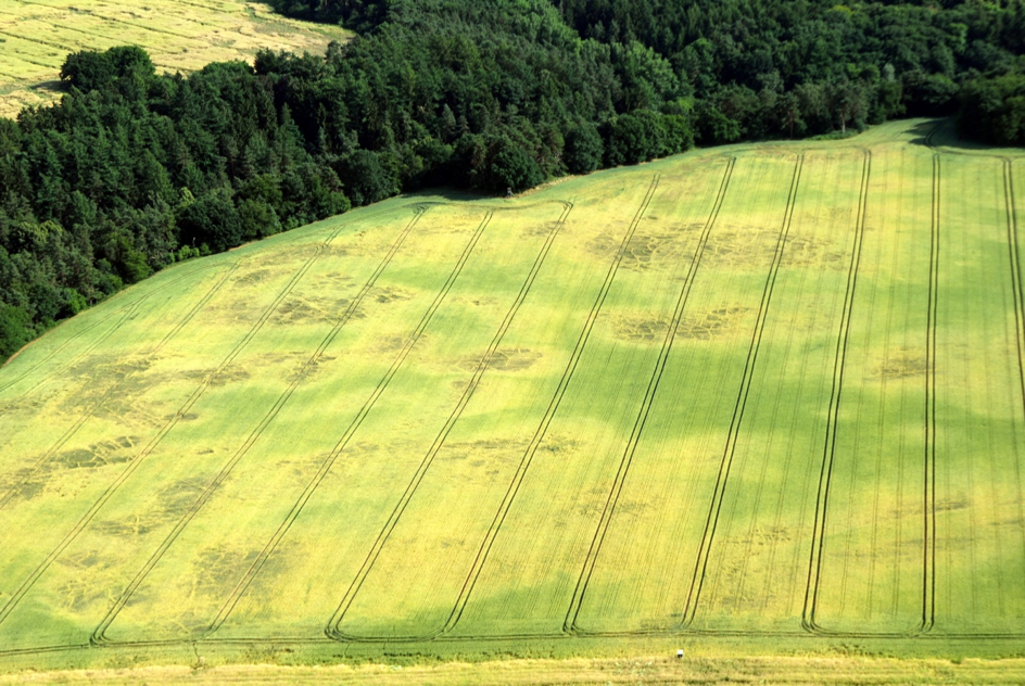 Dürre 2018: Welche Schäden können wir in der Landwirtschaft feststellen?