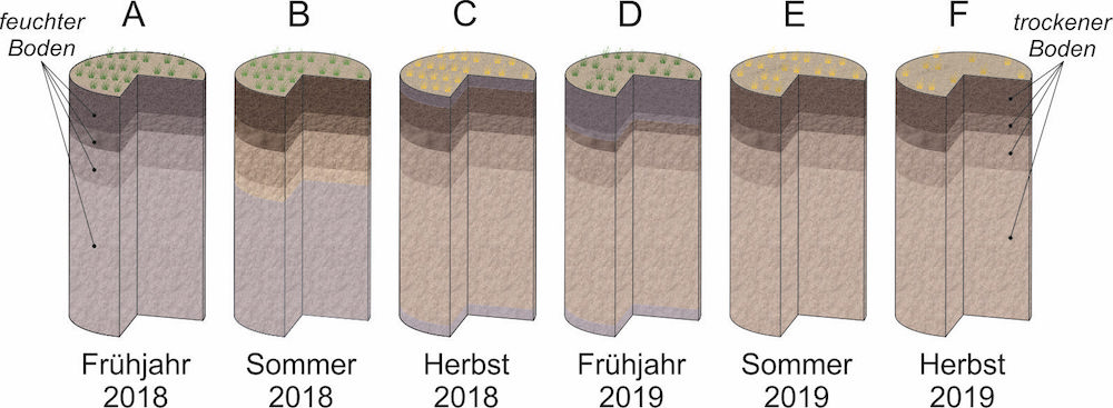 Dürre 2018 – Was kommt 2019?