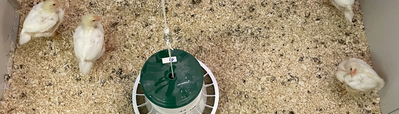 Fünf Fragen an Dr. Stefanie Ammer