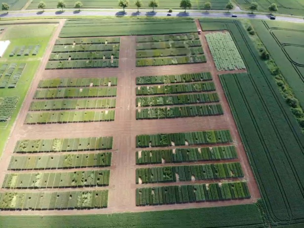 Fünf Fragen an Prof. Dr. Stefan Siebert