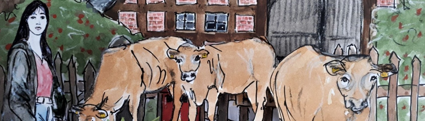 Feldbericht aus der laufenden Studie zur Lebenssituation von Frauen in der Landwirtschaft