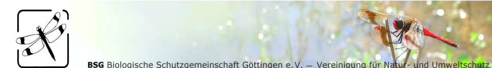 Arbeitskreis führt Erfassung der Wildbienen-Fauna der Region Südniedersachsen durch
